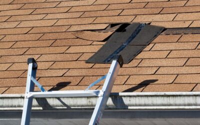 The Ultimate Guide to Maintaining Your Commercial Roof for Long-Lasting Performance