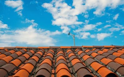 Should You Choose Clay Tile Roofing in Austin?