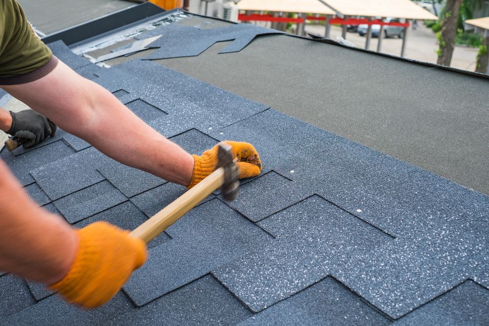 Workers hands installing bitumen roof shingles using hammer in nails.